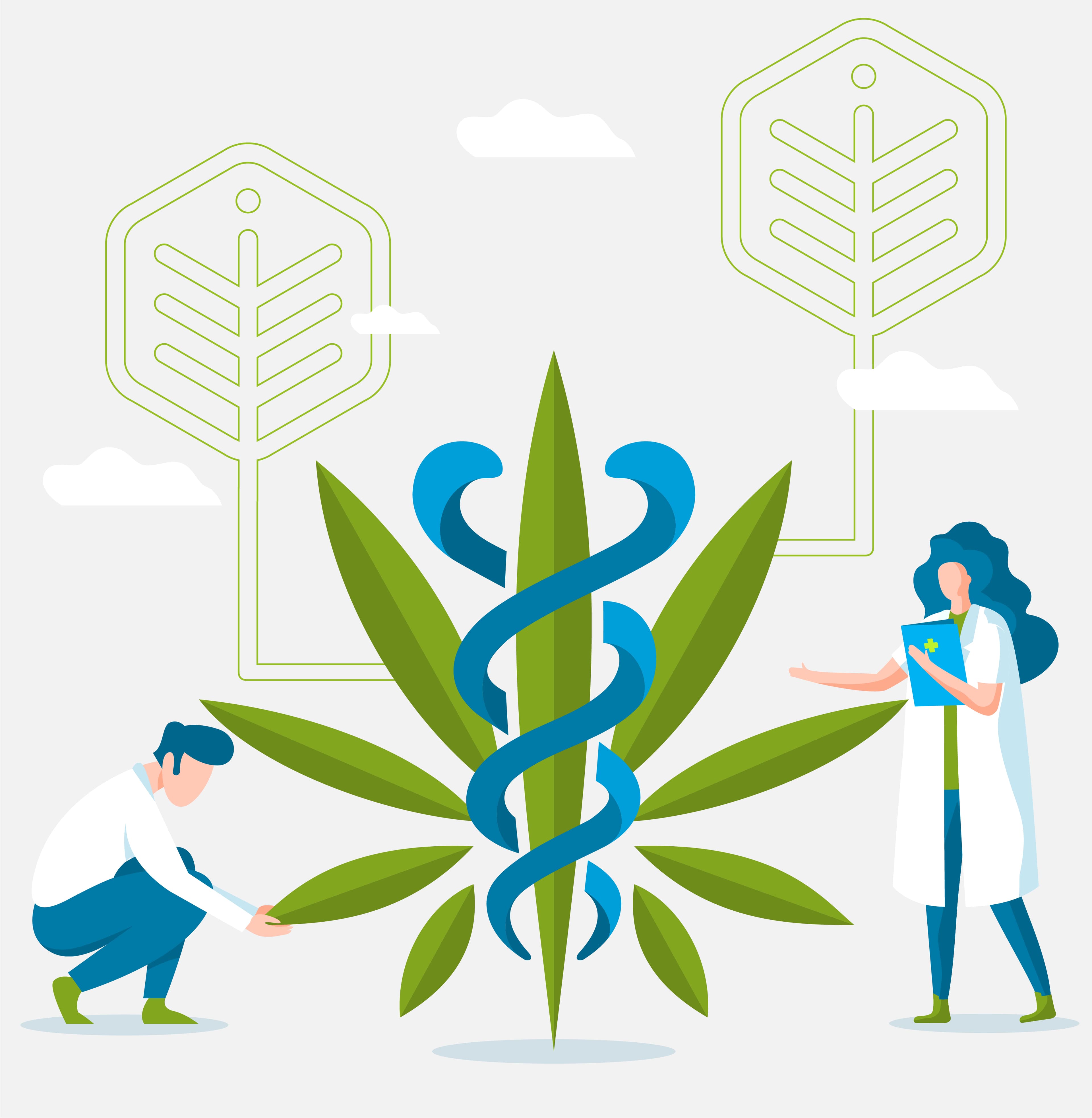 Editorial illustration about medical cannabis