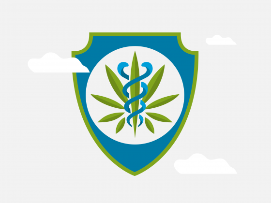 Cannabis Insurance in Canada